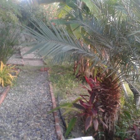 Maremonti Bed & Breakfast Puerto López Екстериор снимка