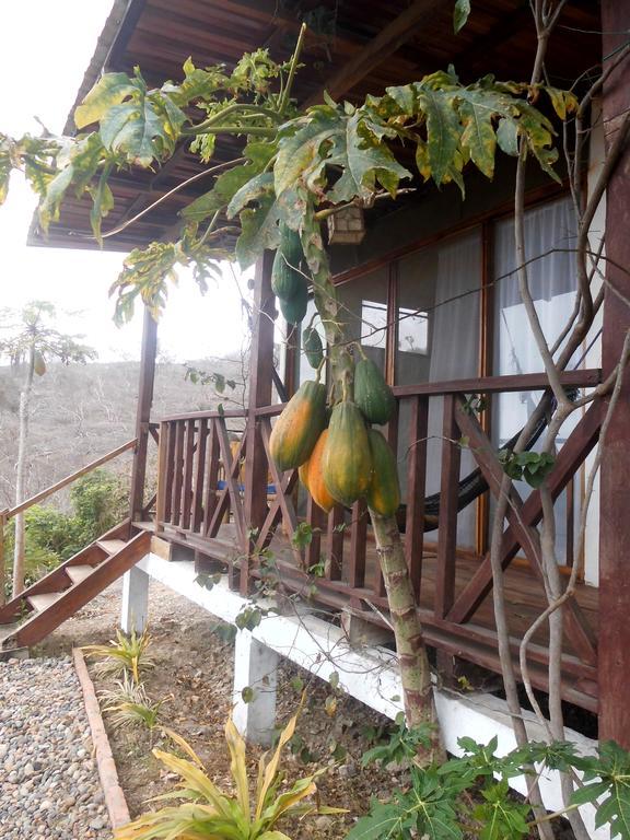 Maremonti Bed & Breakfast Puerto López Екстериор снимка