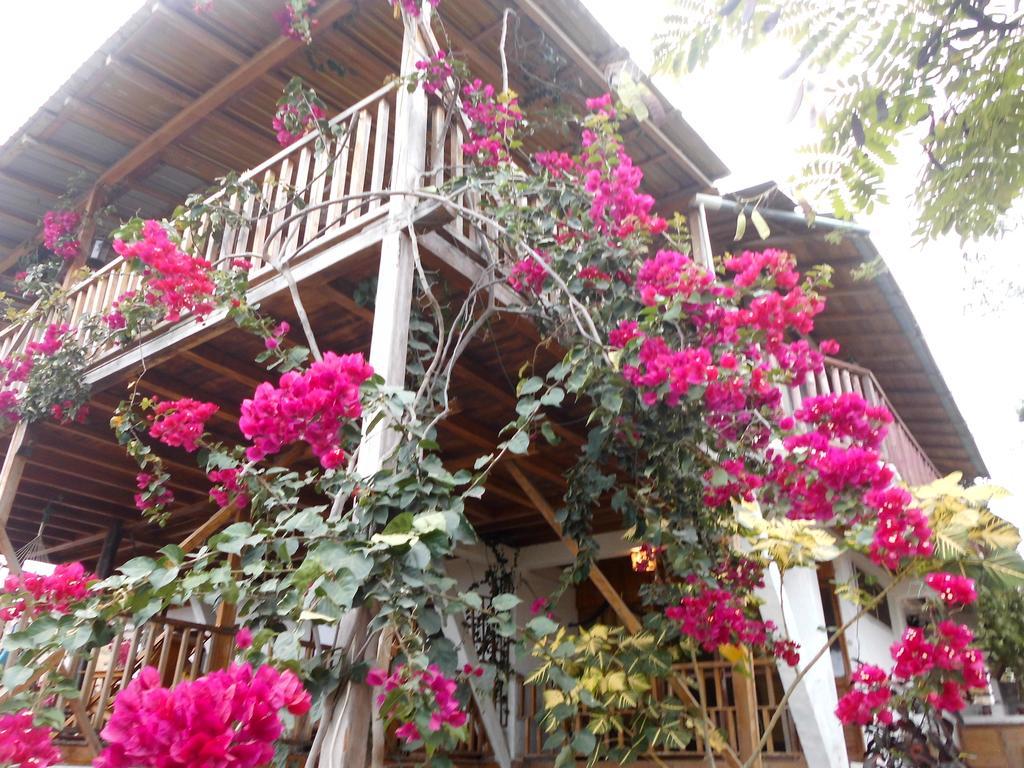 Maremonti Bed & Breakfast Puerto López Екстериор снимка
