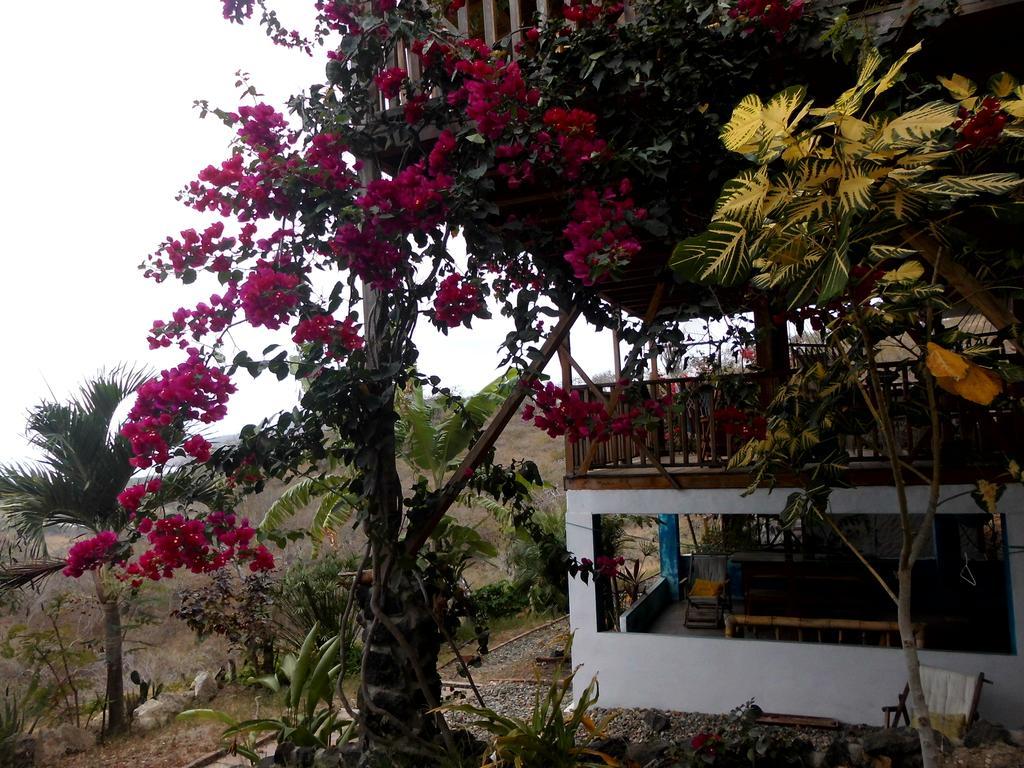 Maremonti Bed & Breakfast Puerto López Екстериор снимка
