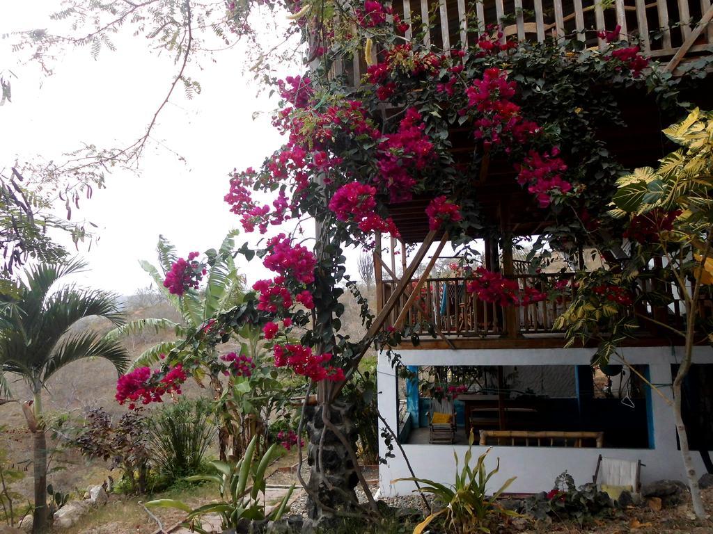 Maremonti Bed & Breakfast Puerto López Екстериор снимка
