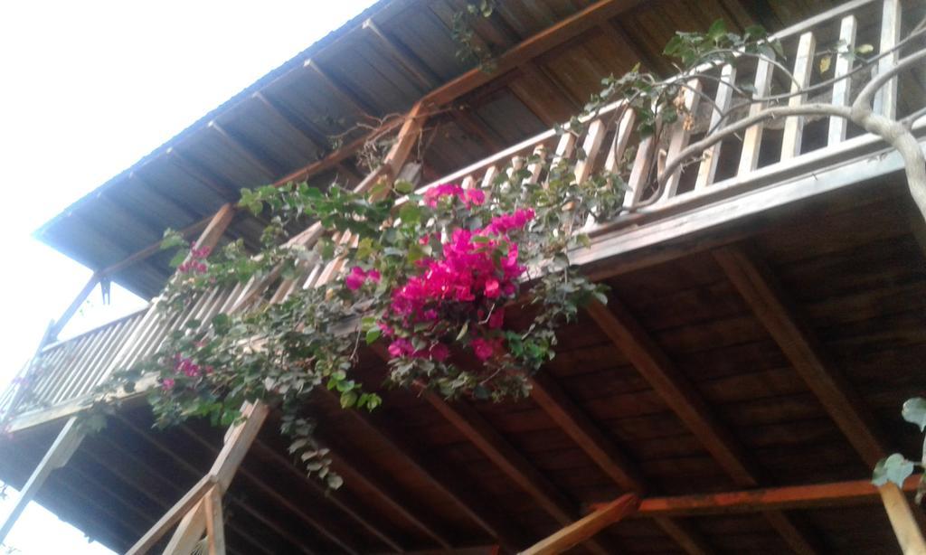 Maremonti Bed & Breakfast Puerto López Екстериор снимка