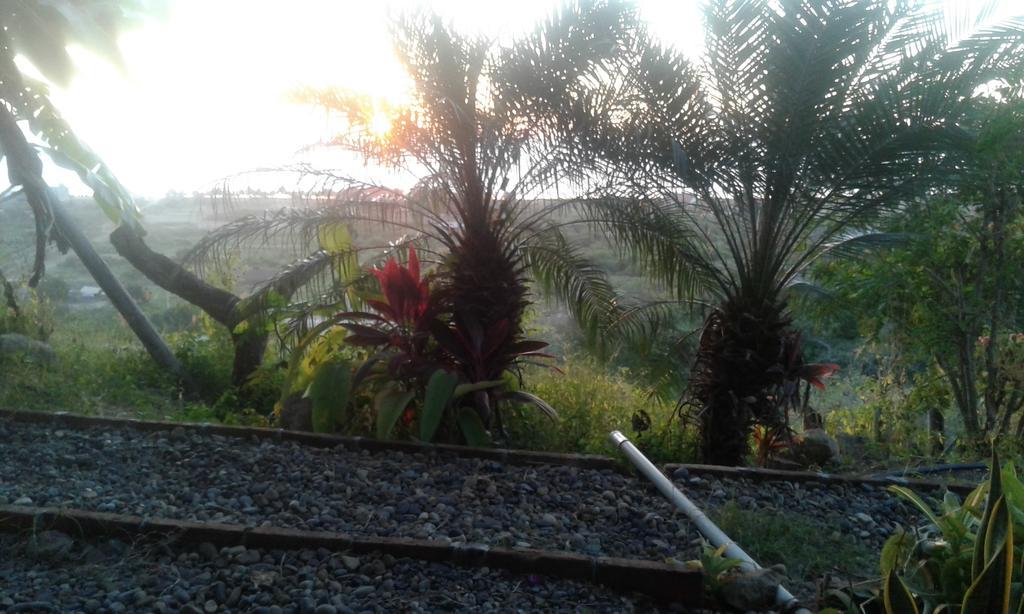 Maremonti Bed & Breakfast Puerto López Екстериор снимка